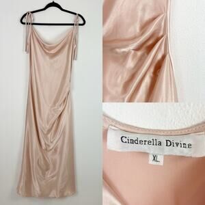 Cinderella Divine Slip Dress Chemise XL Blush